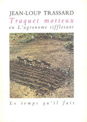 traquet motteux